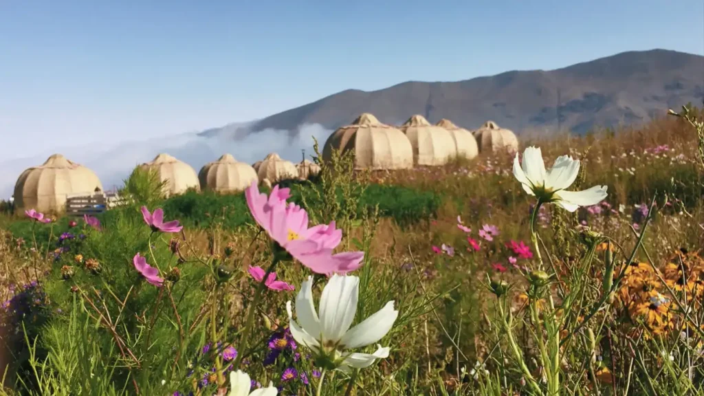 Ardabil