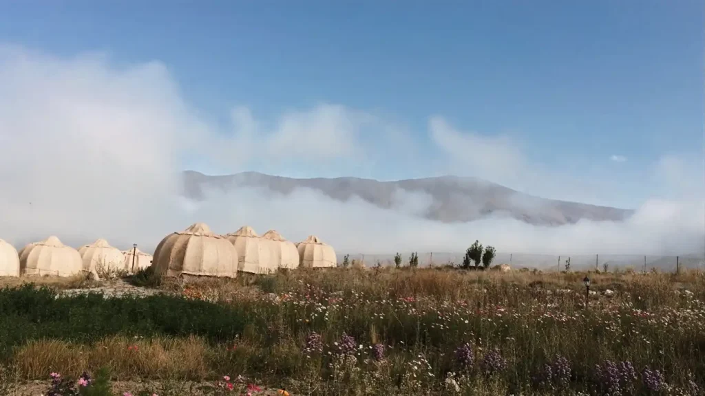 Ardabil
